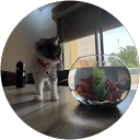 Julie 29 profile picture